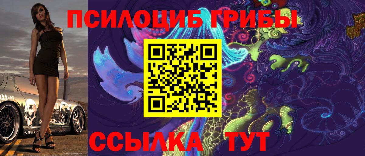 Псилоцибиновые грибы MAGIC MUSHROOMS  Вход с VPN  Краснодар  Галлюциногенные грибы мицелий 